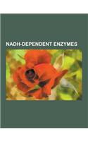 Nadh-Dependent Enzymes: Alcohol Dehydrogenase, Udp-Glucose 4-Epimerase, Xanthine Dehydrogenase, Nad(p)H Dehydrogenase, Nitric Oxide Dioxygenas