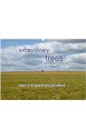 Extraordinary Trees (UK Version) 2018