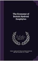 The Economy of British Hydroid Zoophytes