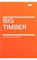 Big Timber