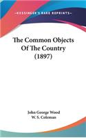 Common Objects Of The Country (1897)