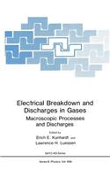 Electrical Breakdown and Discharges in Gases