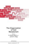 Organization of Cell Metabolism