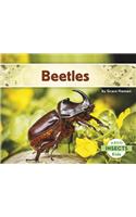 Beetles: (Insects)