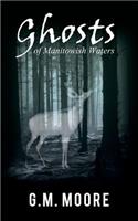 Ghosts of Manitowish Waters