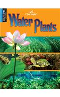 Water Plants