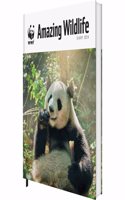 WWF Amazing Wildlife Deluxe A5 Diary 2024