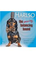 Harlso the Amazing Balancing Hound: Photographs by Jennifer Scott & Paul Lavery