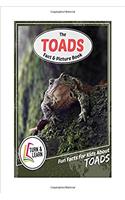 The Toad Fact and Picture Book: Fun Facts for Kids about Toads