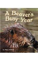 The Beavers' Busy Year