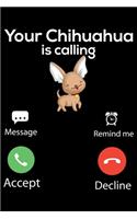 Your Chihuahua Is Calling