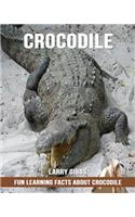 Fun Learning Facts about Crocodile