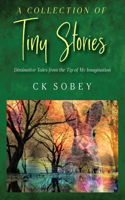 Collection of Tiny Stories: Diminutive Tales from the Tip of My Imagination