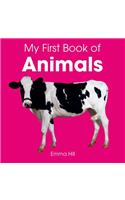 My First Book of Animals: (My First Book)