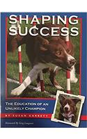 Shaping Success