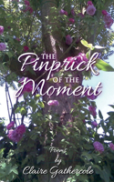 Pinprick of the Moment