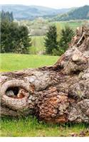 Felled Tree in a Field Journal