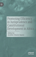 Promoting Efficiency in Jurisprudence and Constitutional Development in Africa