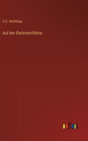 Auf der Elefantenfährte