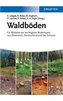 Waldboden