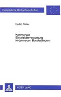 Kommunale Elektrizitaetsversorgung in Den Neuen Bundeslaendern