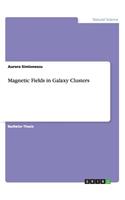 Magnetic Fields in Galaxy Clusters