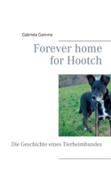 Forever home for Hootch