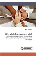 Why dolphins cooperate?