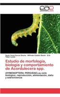 Estudio de Morfologia, Biologia y Comportamiento de Acordulecera Spp.