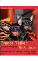 Prager Rattler (Pra Sk Krysar K) Fur Anf Nger