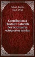 Contribution a l'histoire naturelle des bryozoaires ectoproctes marins