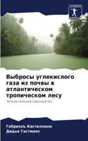 Выбросы углекислого газа из почвы в атлан&#109