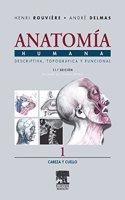 Anatomia Humana. Cabeza y Cuello - Tomo 1