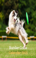 Border Collie Calendar 2021