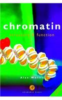 Chromatin