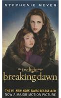 Breaking Dawn: (04 Twilight Saga)
