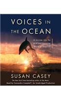 Voices in the Ocean