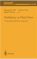 Turbulence in Fluid Flows