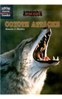 Coyote Attacks