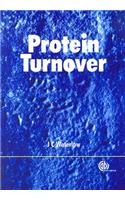 Protein Turnover