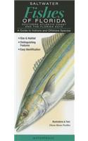 Saltwater Fishes of Florida-Southern Atlantic Coast & the Florida Keys