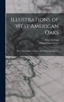 Illustrations of West American Oaks