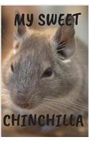 My Sweet Chinchilla