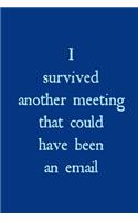 I survived another meeting that could have been an email