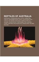 Reptiles of Australia: Crocodile, Loggerhead Sea Turtle, Green Sea Turtle, Leatherback Sea Turtle, Olive Ridley Sea Turtle, Saltwater Crocodi