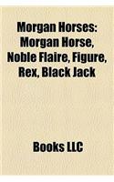 Morgan Horses