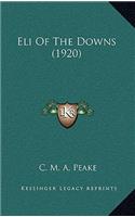 Eli of the Downs (1920)