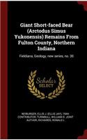 Giant Short-faced Bear (Arctodus Simus Yukonensis) Remains From Fulton County, Northern Indiana