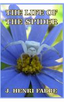 The Life of the Spider