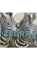 Zebras